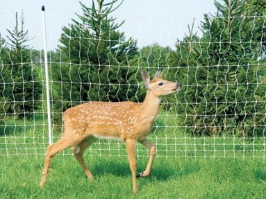 Pali per recinzione in fibra di vetro per la deterrenza della fauna selvatica nei campi coltivati: supporto robusto per recinzioni per cervi e barriere per la fauna selvatica