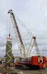 product-157-249 product-157-249